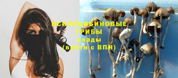 spice Баксан